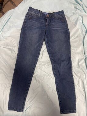 Democracy Indigo Skinny Jeans